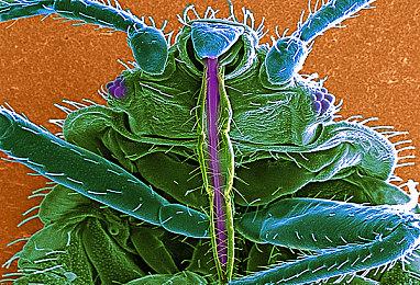 《城市：天际线》销量已经超过1200万套